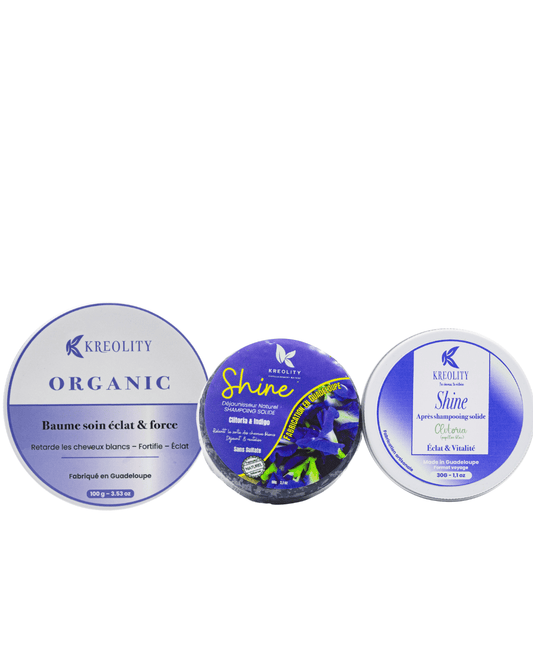 Kit Routine Shine (Spécial cheveux blancs et colorés)