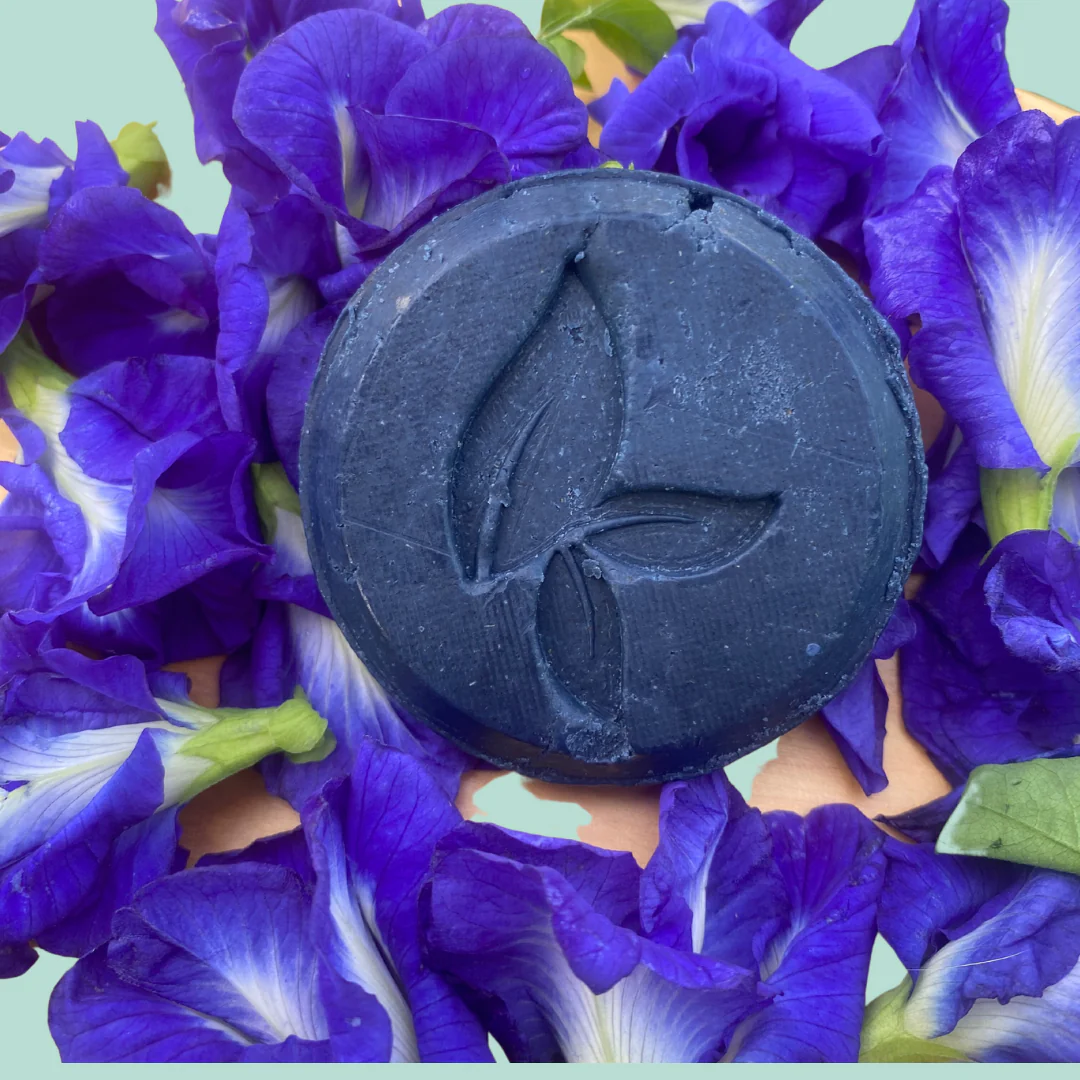 Shampoing solide clitoria